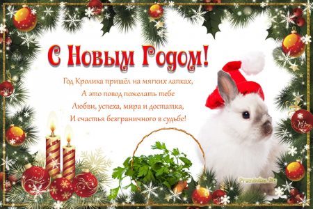 Поздравления с Новым годом Кролика